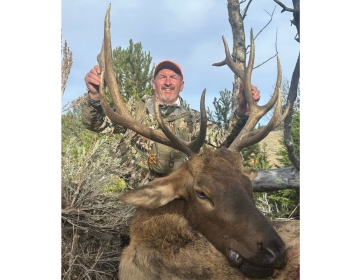Sns Wyoming Wilderness Elk 2025 12